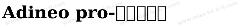 Adineo pro字体转换